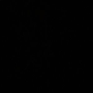 Meet your Posher, Tyreeck